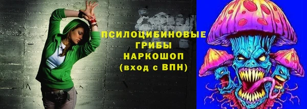 2c-b Кукмор