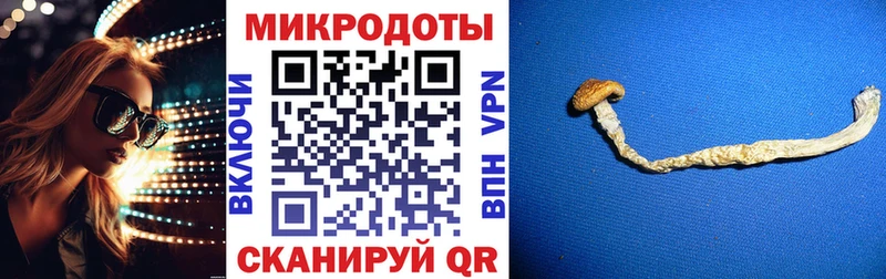купить наркотики сайты  Кочубеевское  дарк нет как зайти  Псилоцибиновые грибы Psilocybine cubensis 